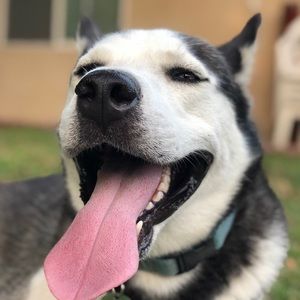 Meet your Posher, Isaiah